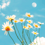 Photography Wall Art Prints