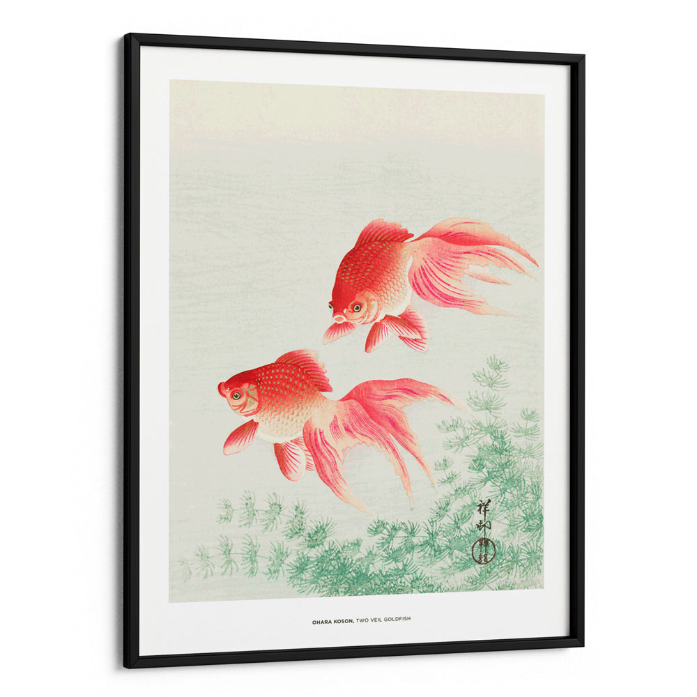 Ohara Koson - Two Veil Goldfish - XS / Matte Paper / Rolled Art - Nook At You