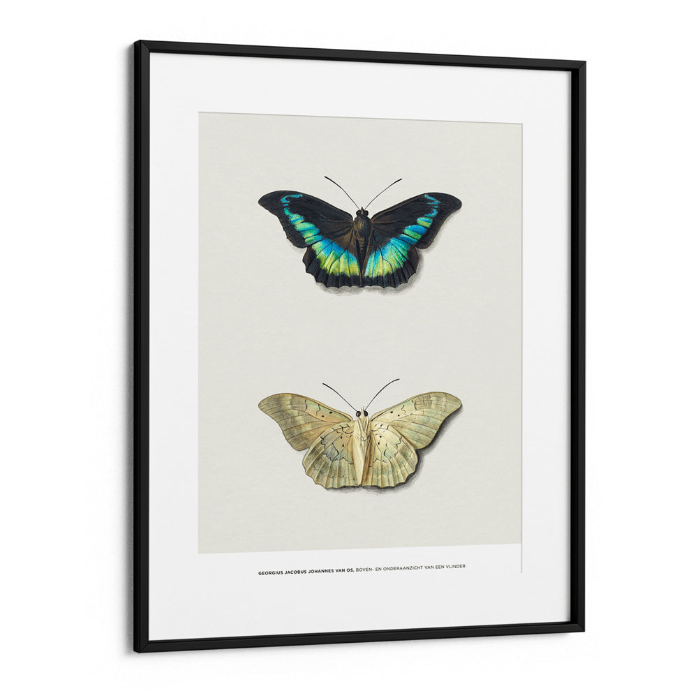 Geogius Jacobus Johannes Exhibition Poster - XS / Matte Paper / Rolled Art - Nook At You