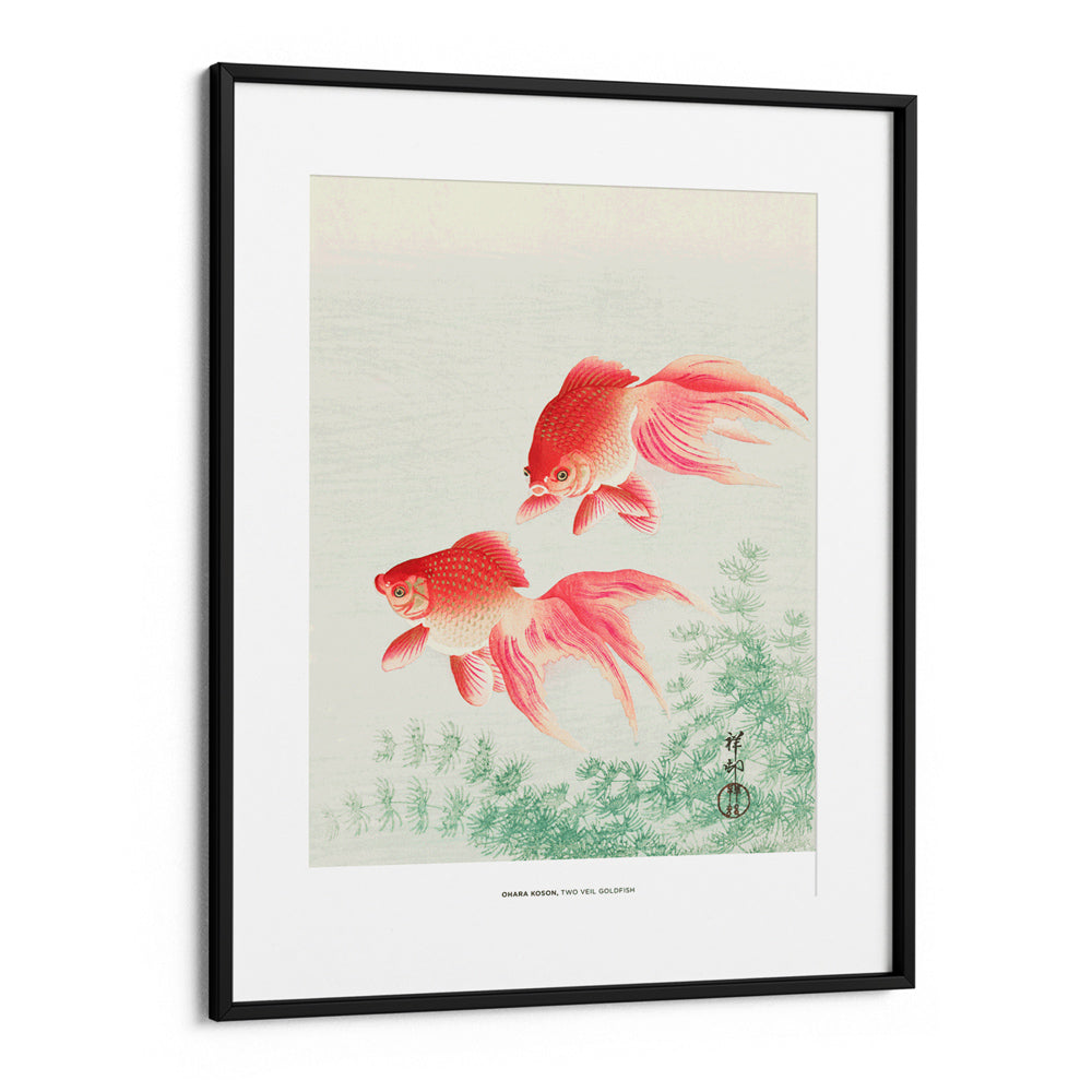 Ohara Koson - Two Veil Goldfish - XS / Matte Paper / Rolled Art - Nook At You