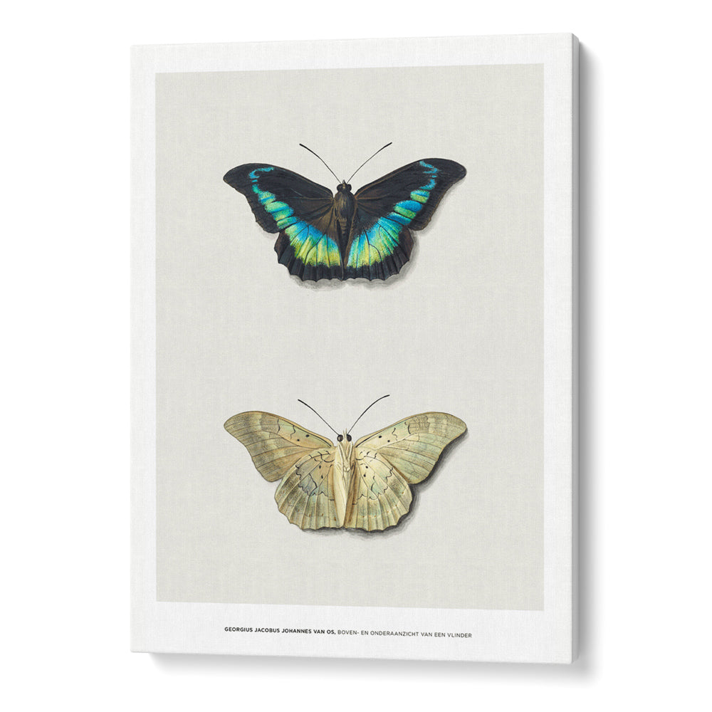 Geogius Jacobus Johannes Exhibition Poster - XS / Matte Paper / Rolled Art - Nook At You