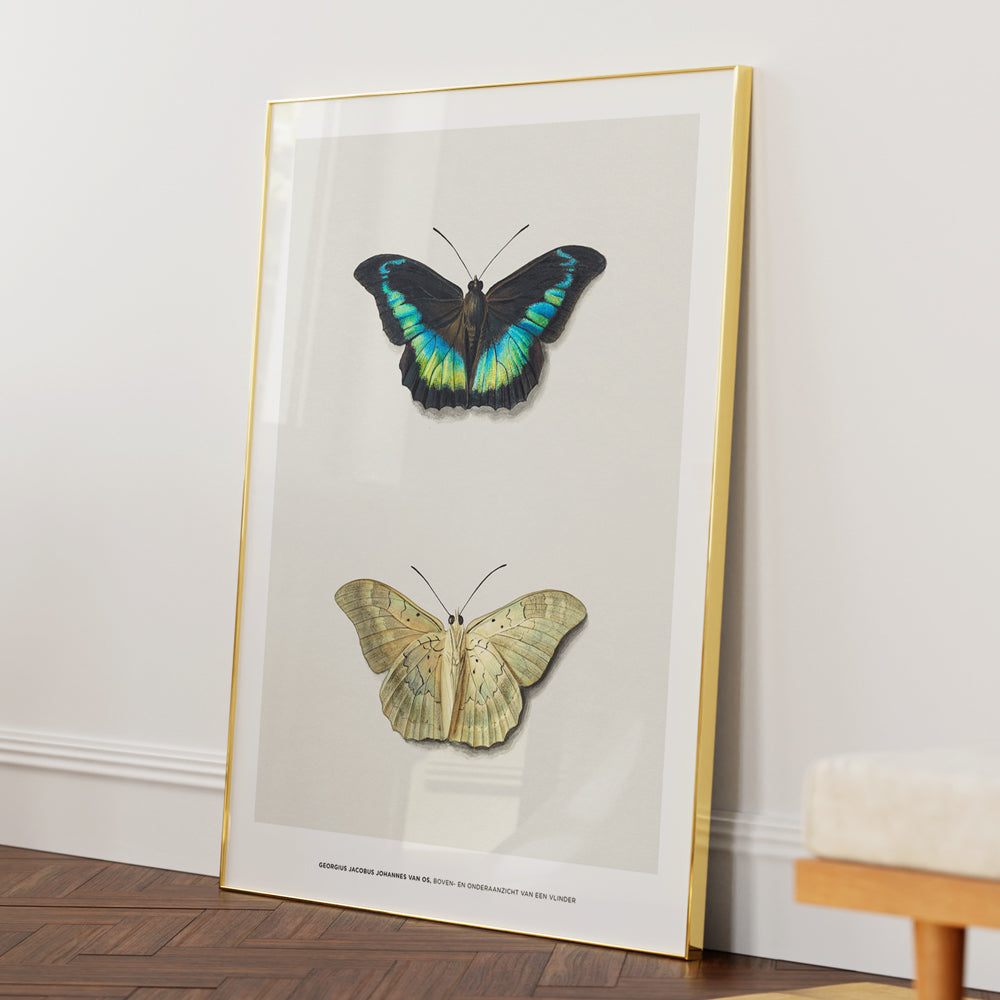 Geogius Jacobus Johannes Exhibition Poster - XS / Matte Paper / Rolled Art - Nook At You