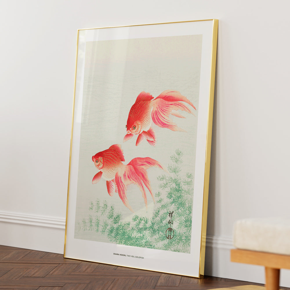 Ohara Koson - Two Veil Goldfish - XS / Matte Paper / Rolled Art - Nook At You