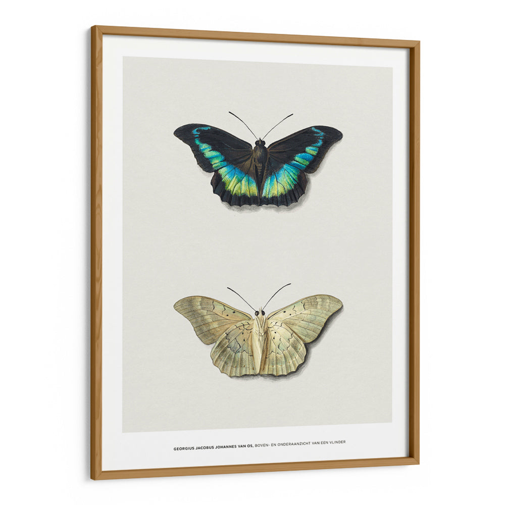 Geogius Jacobus Johannes Exhibition Poster - XS / Matte Paper / Rolled Art - Nook At You