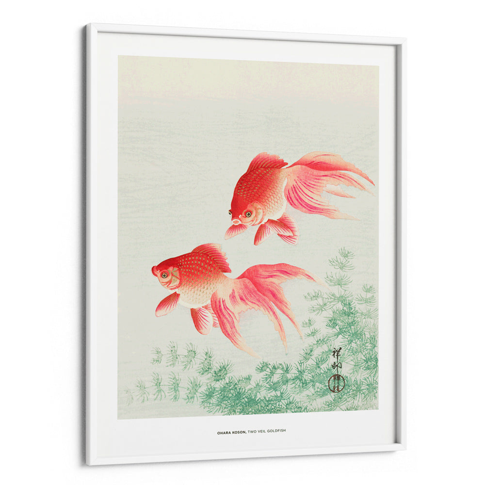 Ohara Koson - Two Veil Goldfish - XS / Matte Paper / Rolled Art - Nook At You