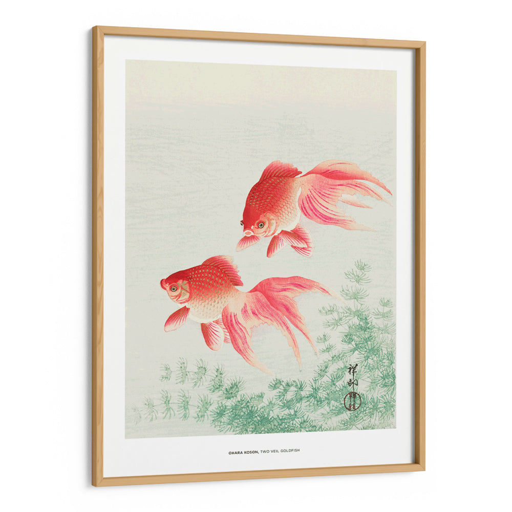 Ohara Koson - Two Veil Goldfish - XS / Matte Paper / Rolled Art - Nook At You