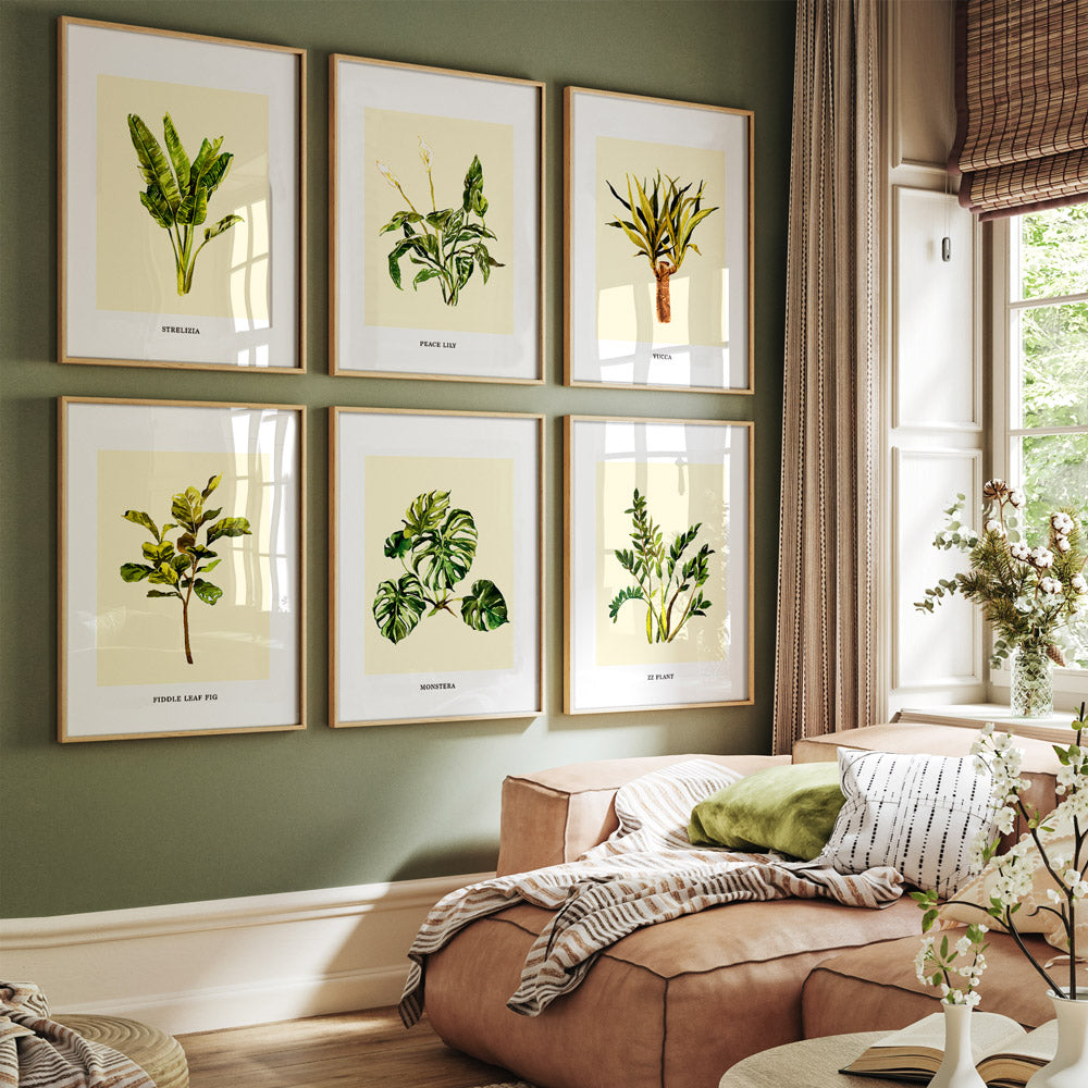 Modern Botanical Gallery Wall with our Set of 6 Wall Art Prints Nook