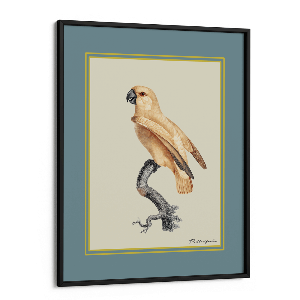 The Golden Parrot I - Teal Nook At You Matte Paper Black Frame