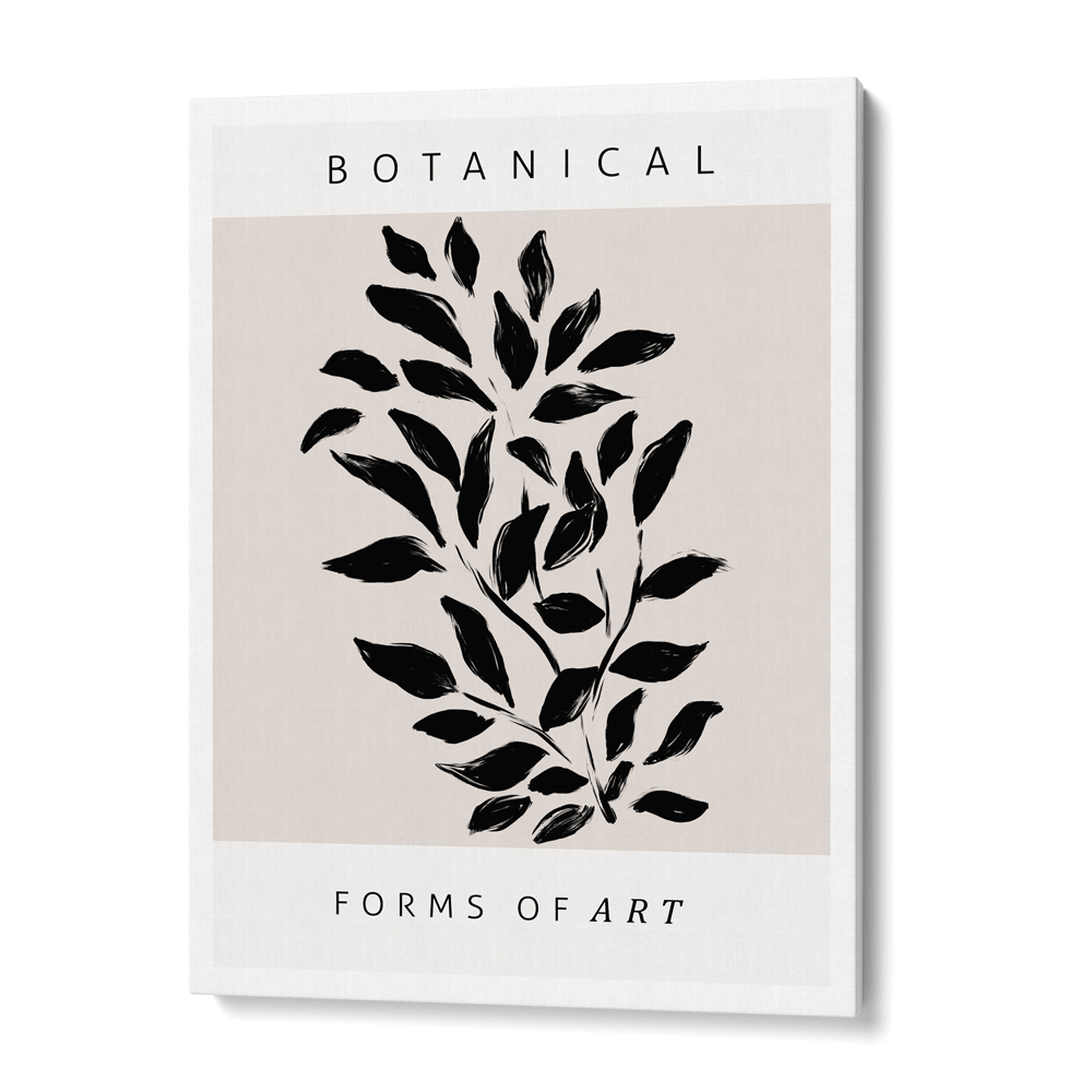 Botanical Forms Of Art Nook At You Canvas Gallery Wrap