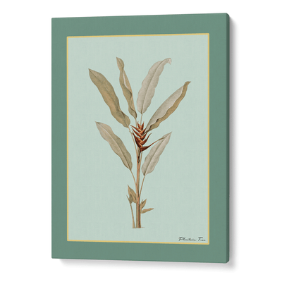 Plantain Tree II - Sage Nook At You Canvas Gallery Wrap