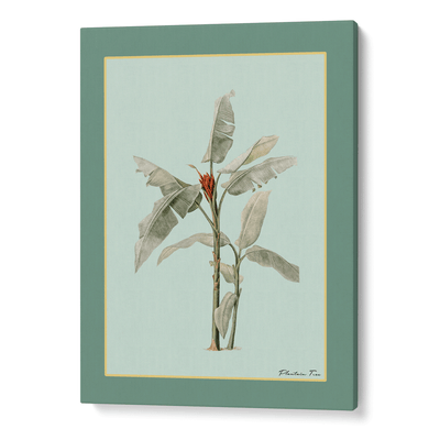 Plantain Tree III - Sage Nook At You Canvas Gallery Wrap