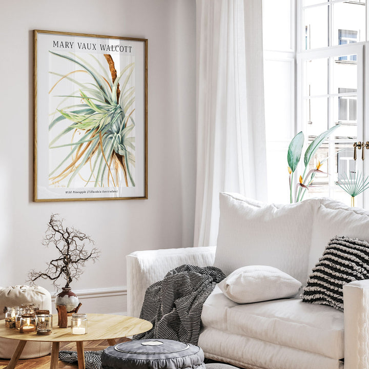 Mary Vaux Walcott - Wild Pineapple Nook At You Matte Paper Rolled Art