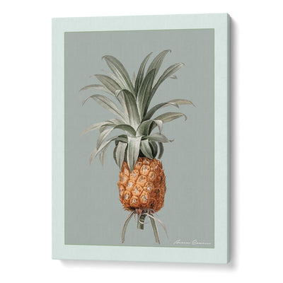Vintage Pineapple Nook At You Canvas Gallery Wrap