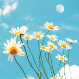 Photography Wall Art Prints