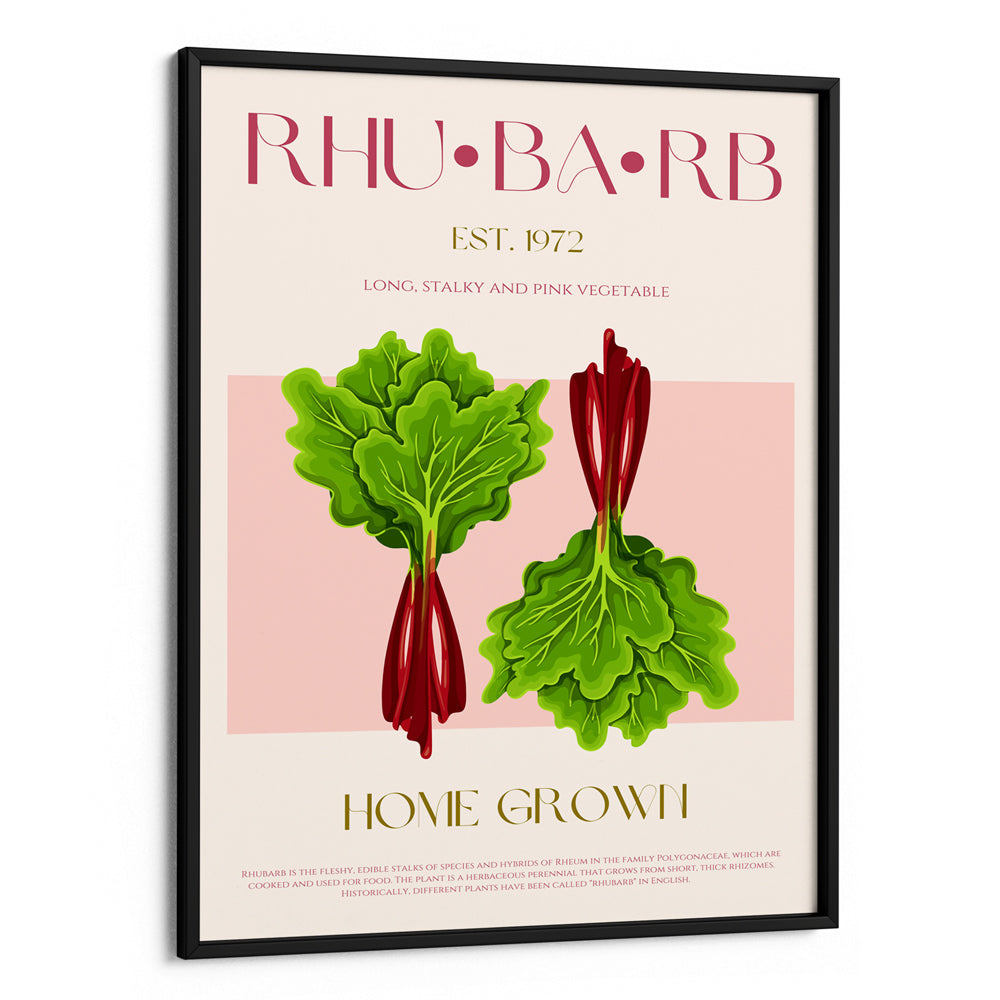 Rhubarb