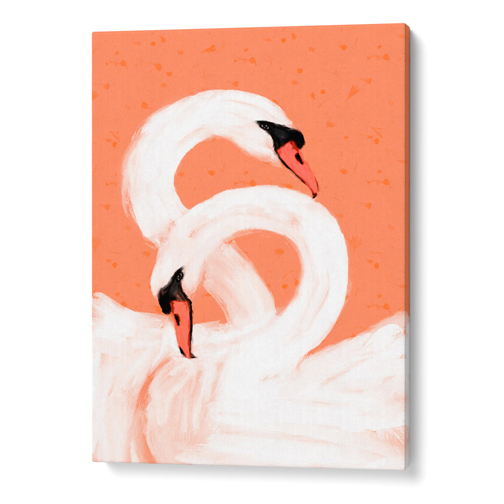 Swans