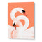 Swans