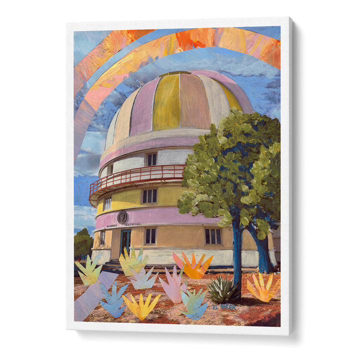 An Observatory In The Wild