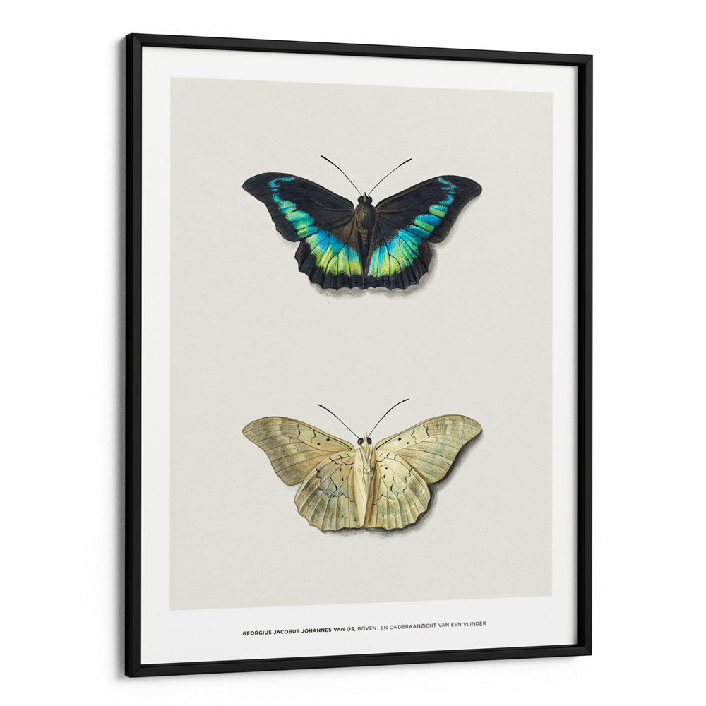 Geogius Jacobus Johannes Exhibition Poster - XS / Matte Paper / Rolled Art - Nook At You