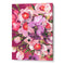 Pink Orchids