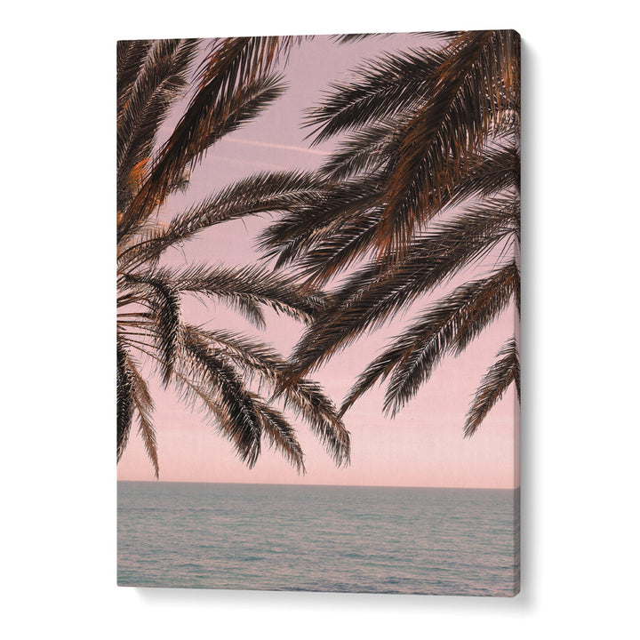 Palm 3 Landscape Art