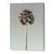 Palm 1
