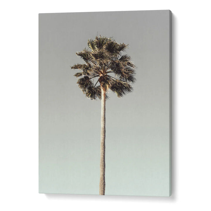 Grace and Grandeur Gallery Wall Set of 7