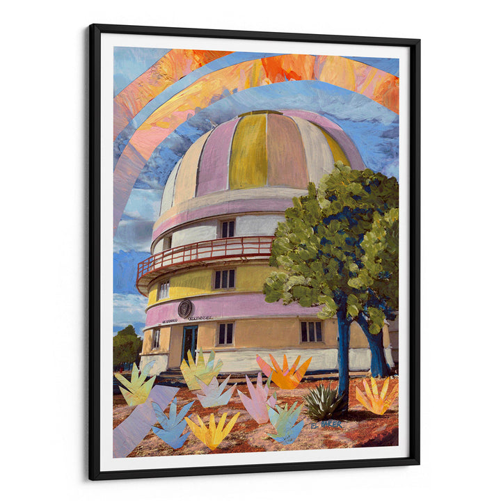 An Observatory In The Wild