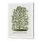 Hardy Magnolia Tree Lithograph