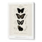 Charles Dessalines D_ Orbigny - Collection of Butterflies