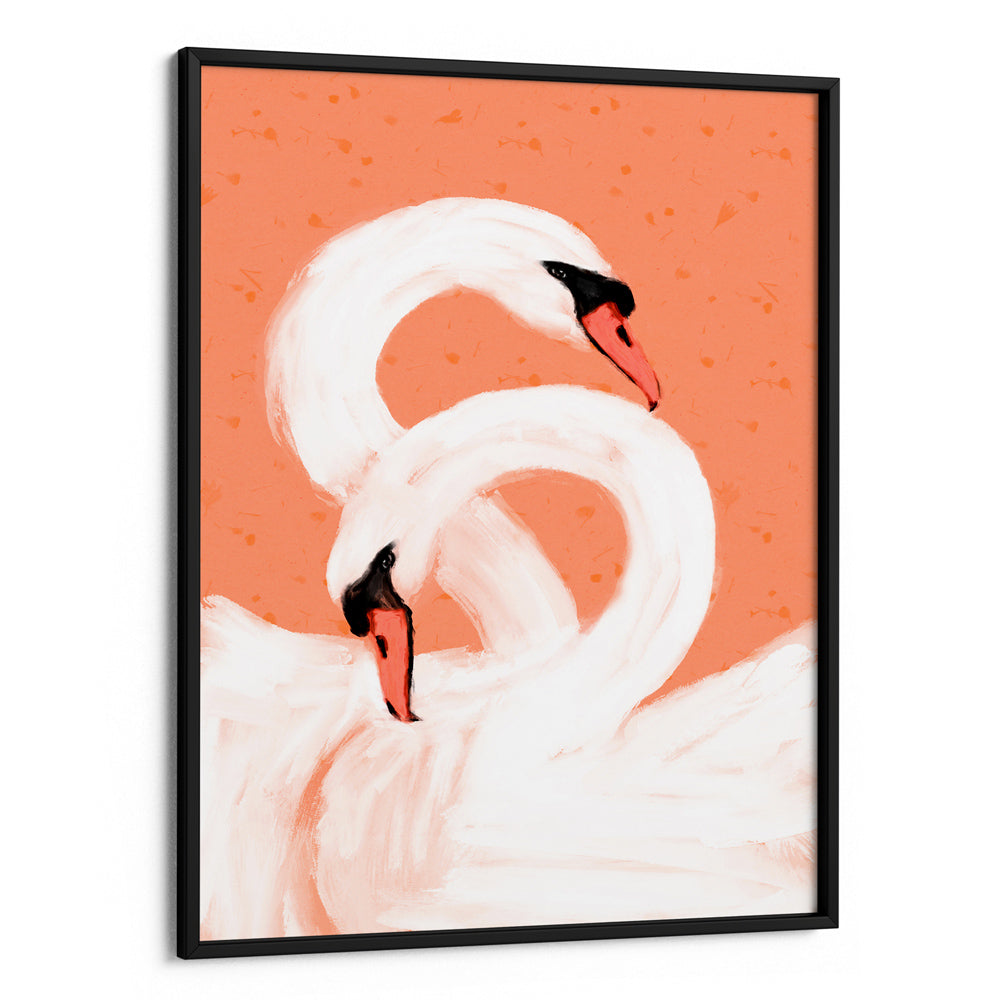 Swans