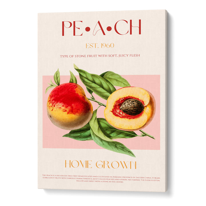 Vintage Style Peach
