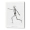George Stubbs - Human Skeleton Canvas Painting
