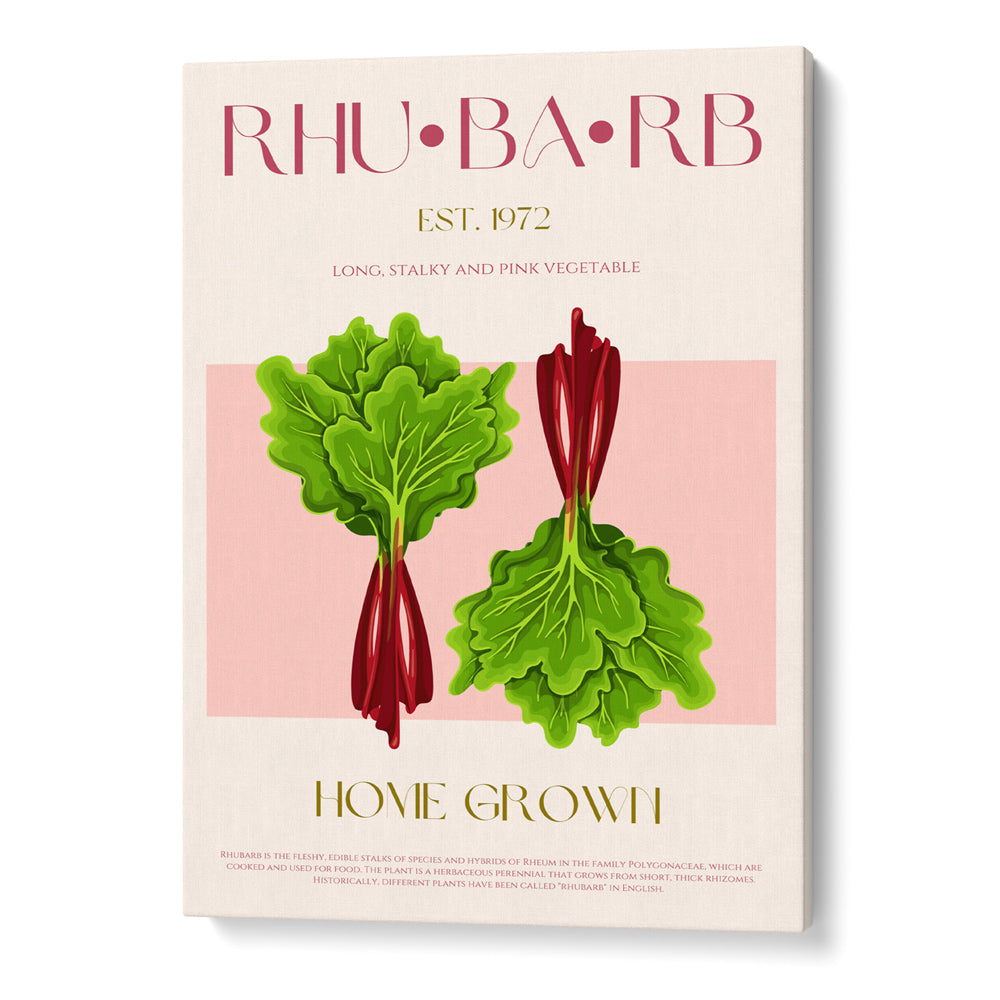 Rhubarb