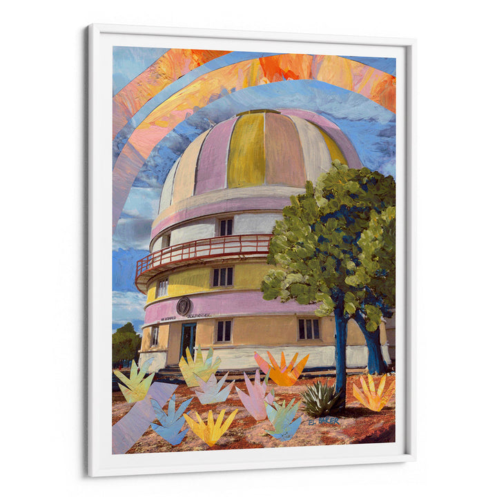 An Observatory In The Wild