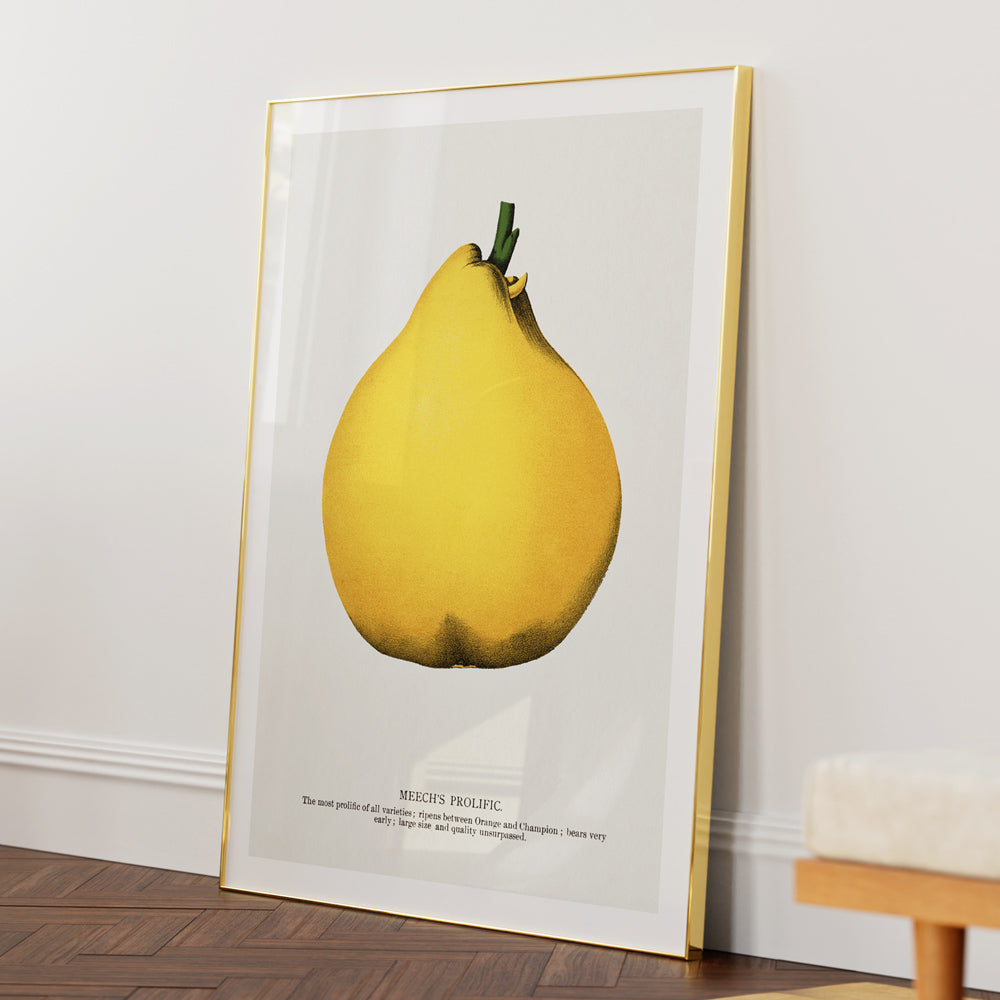 Meech's Prolific Pear Lithograph