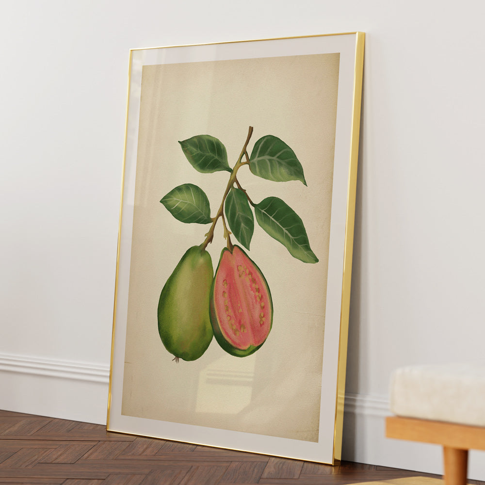 Vintage guava