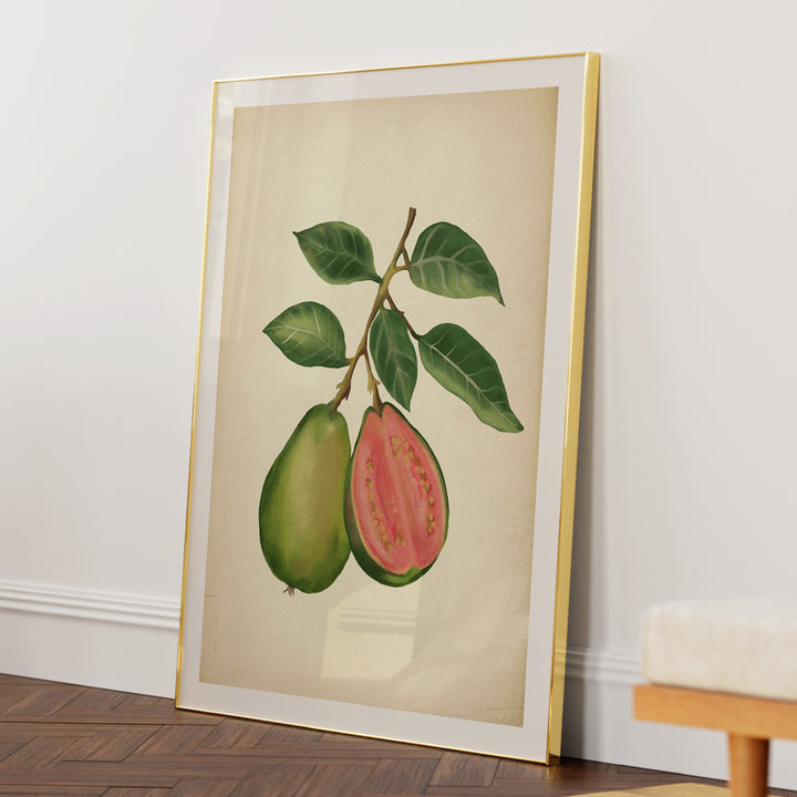 Vintage guava