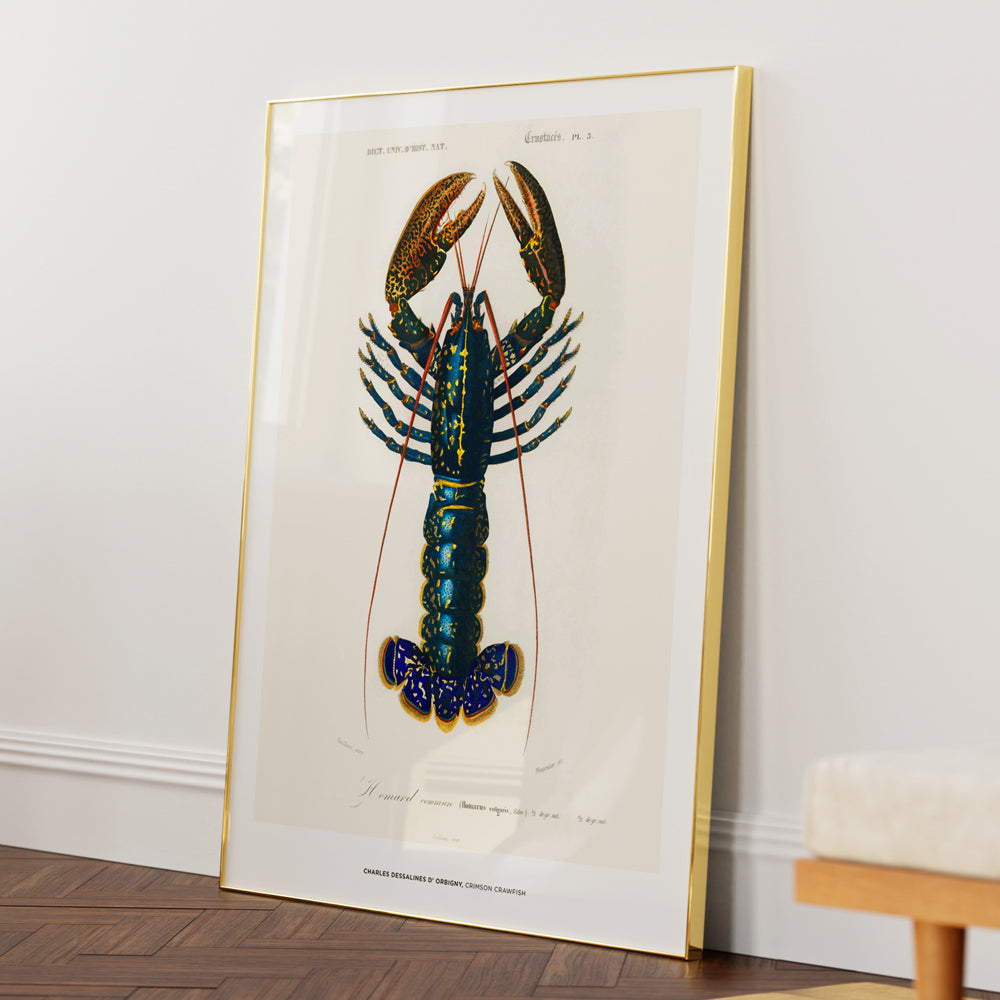 Charles Dessalines D_ Orbigny - Crimson Crawfish - 5XL / Canvas / Rolled Art - Nook At You