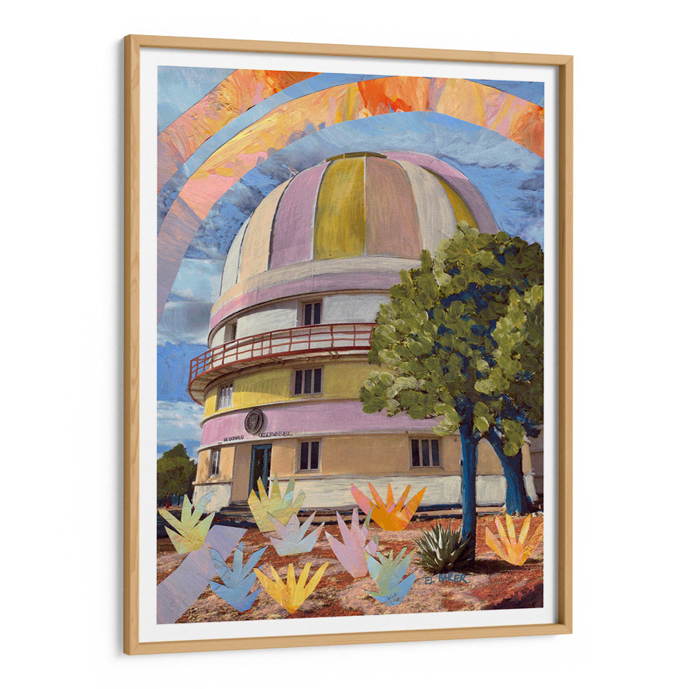 An Observatory In The Wild