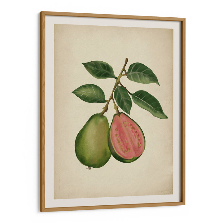 Vintage guava
