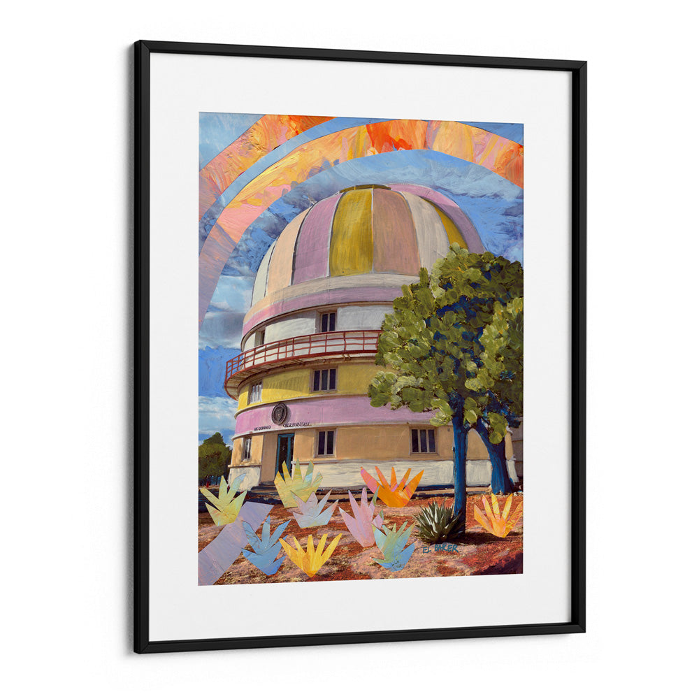 An Observatory In The Wild