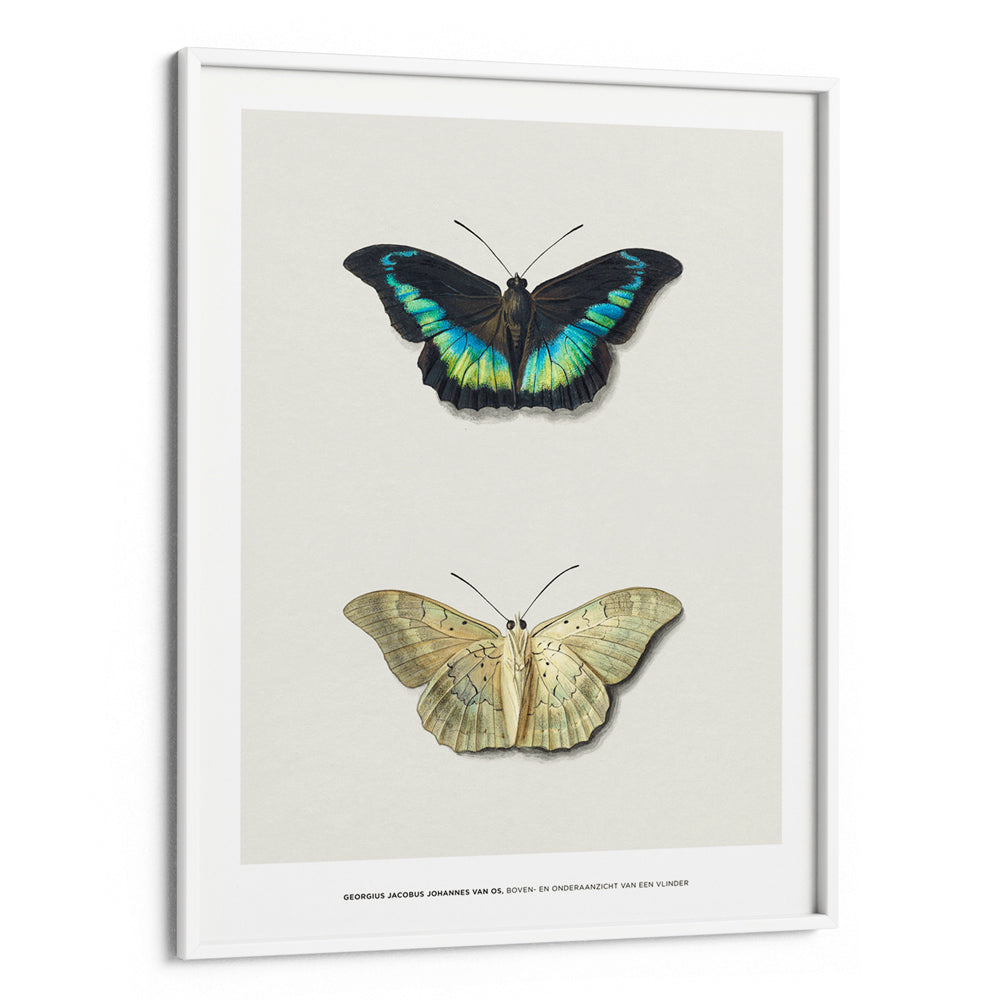 Geogius Jacobus Johannes Exhibition Poster - XS / Matte Paper / Rolled Art - Nook At You