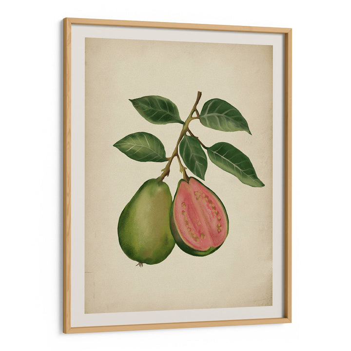 Vintage guava