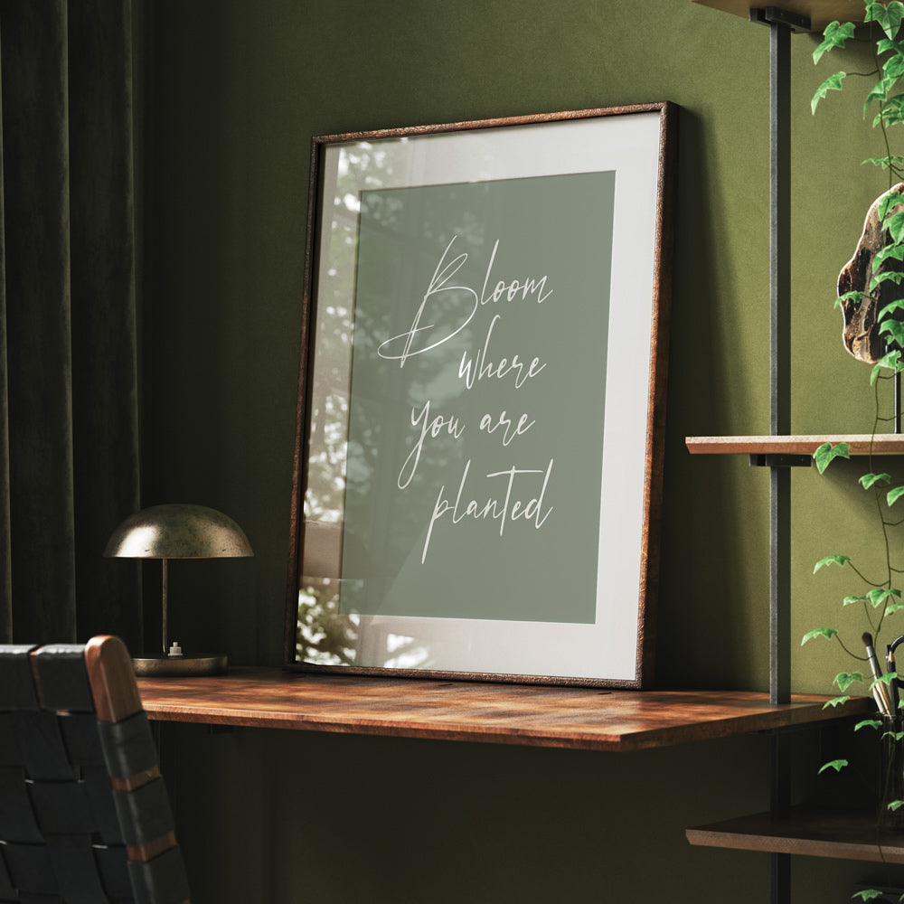 Bloom Where You Are Planted