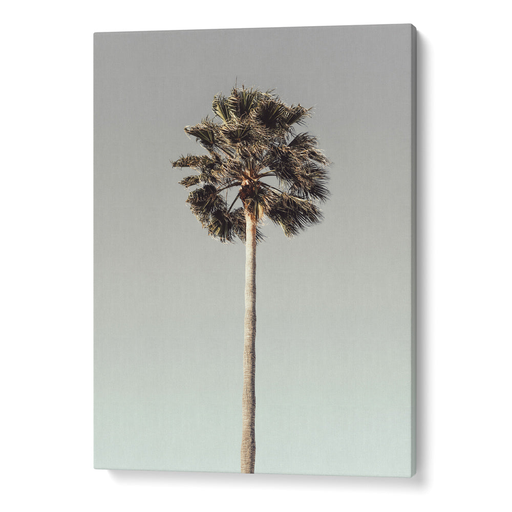 Elemental Harmony Gallery Wall Set of 4 - 57Wx37H / Matte Paper / Rolled Art - Nook At You
