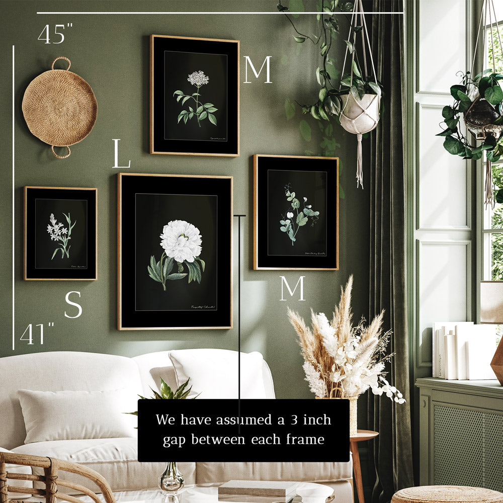 Vintage Botanical Gallery Wall Set of 4