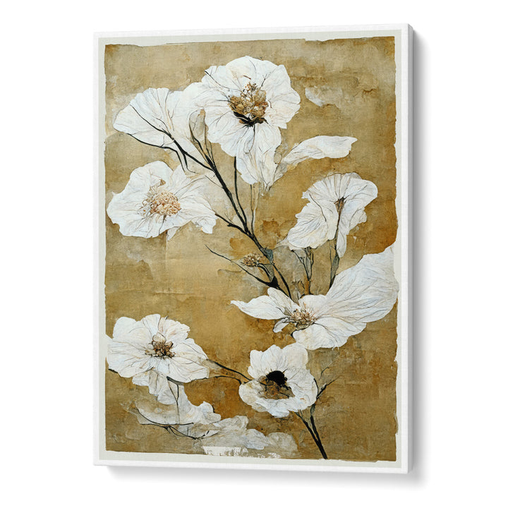 White Dry Flowers