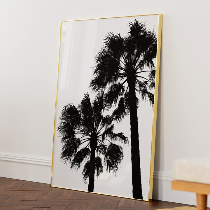 Palm Contrast