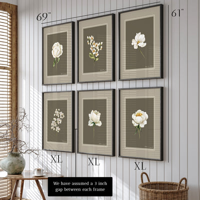 Nature's Palette: Botanical Gallery Wall Set of 6